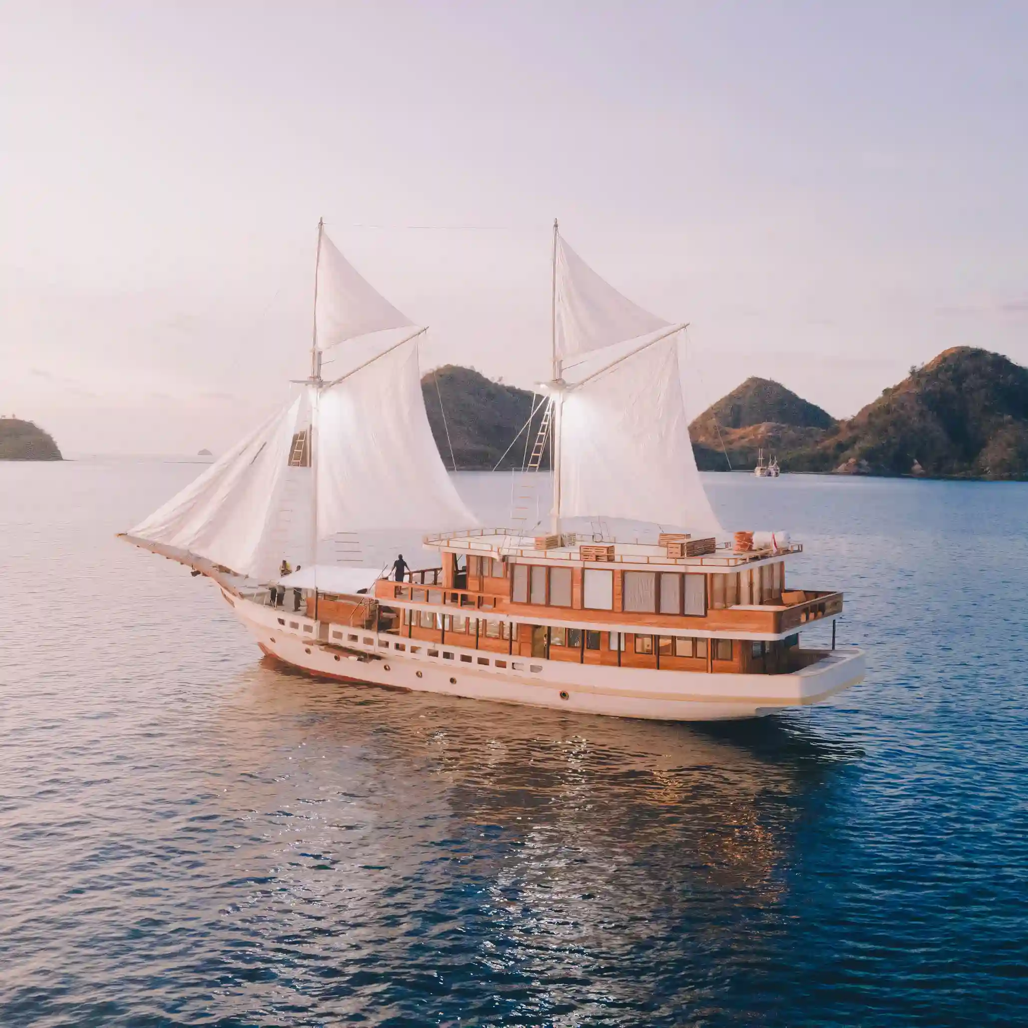 Elbark Cruises