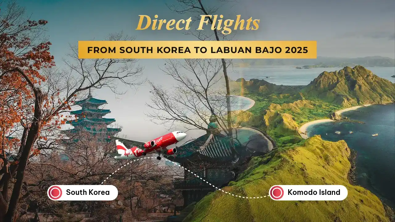 라부안 바조에서 한국으로 | Komodo Luxury