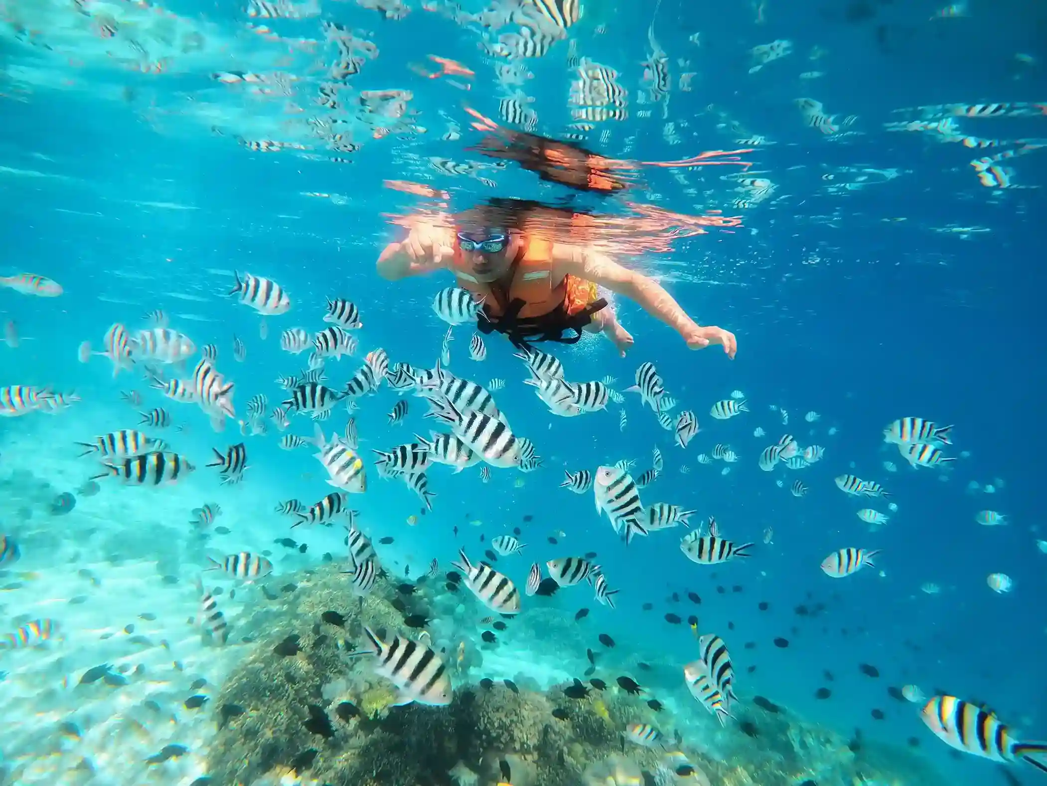 snorkel  Kanawa | Komodo Luxury