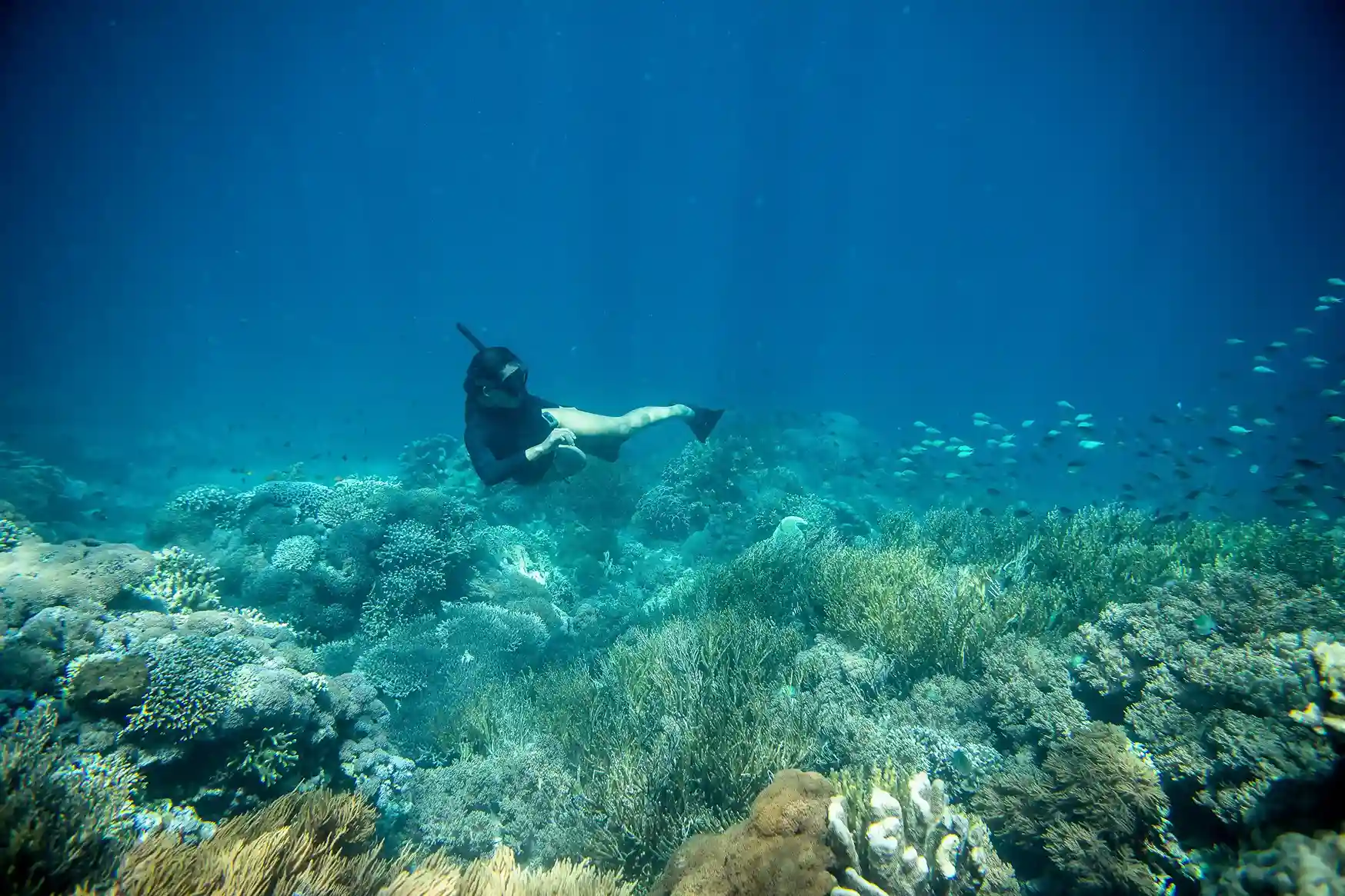 Remote Snorkel Sites