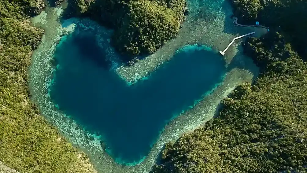 Lagoon Snorkeling