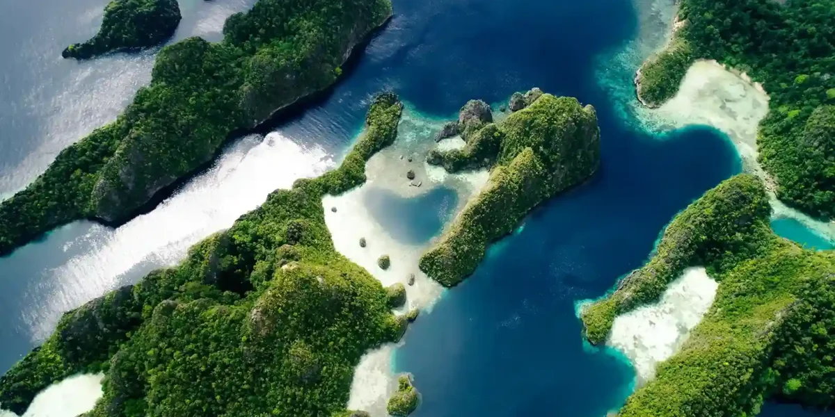 Dafalen Misool Ampat | Komodo Luxury