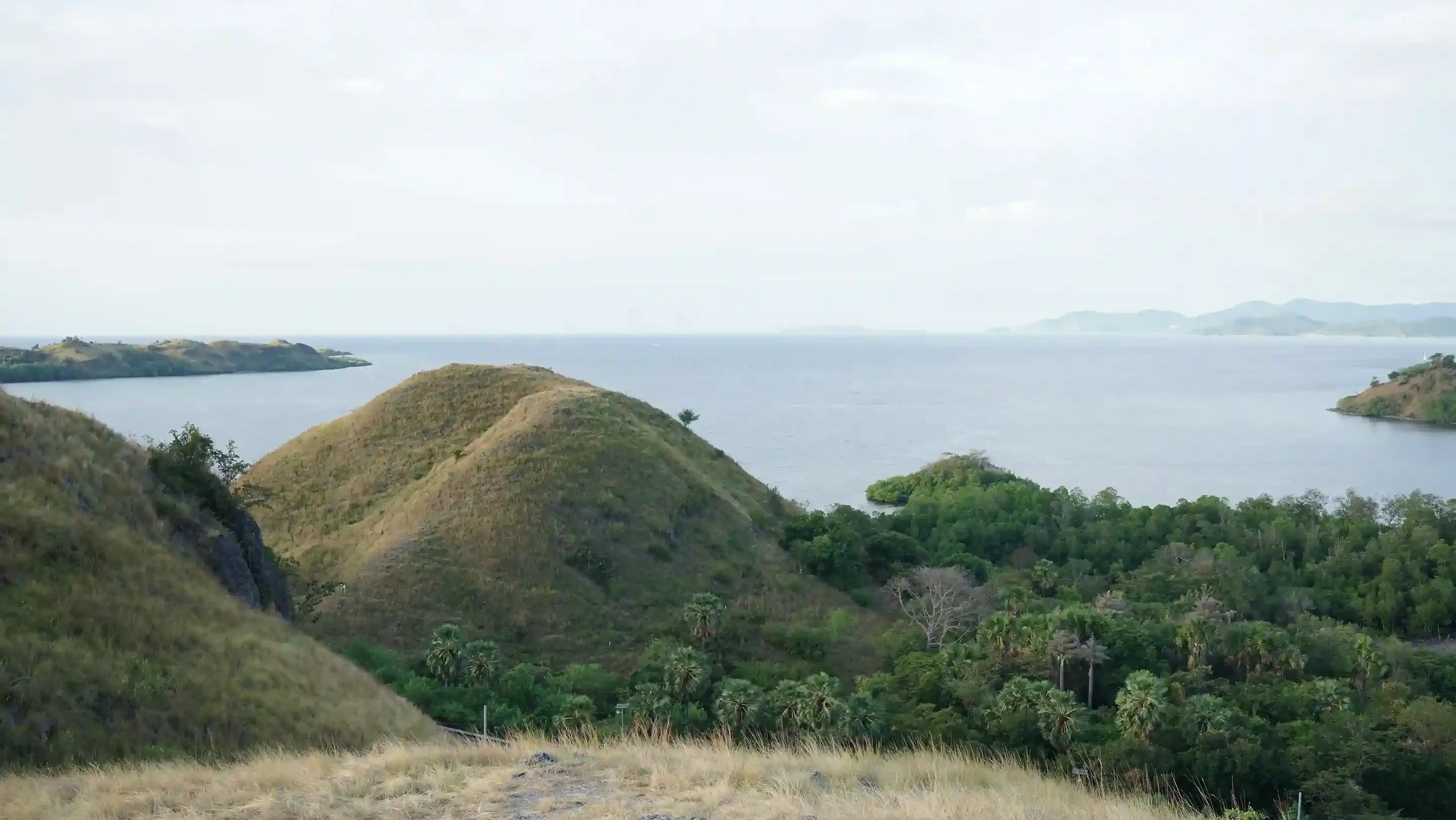 Sylvia Hill | Luxus-Transport Komodo | Komodo Luxury