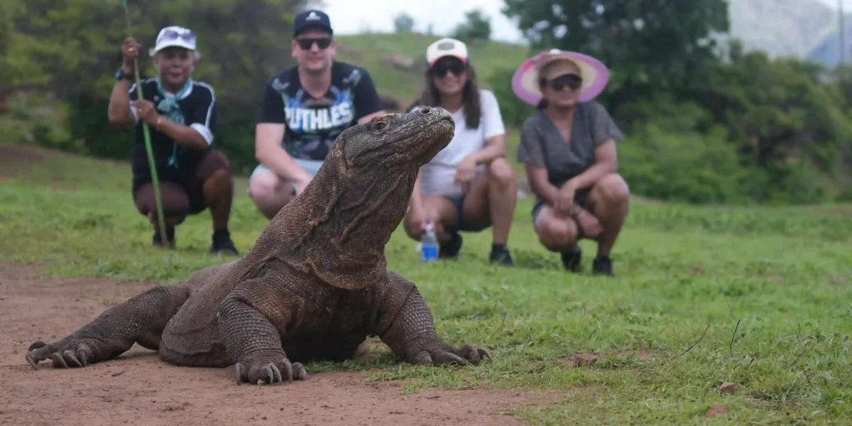 Komodowaran  Komodo-Insel-Tour | Komodo Luxury