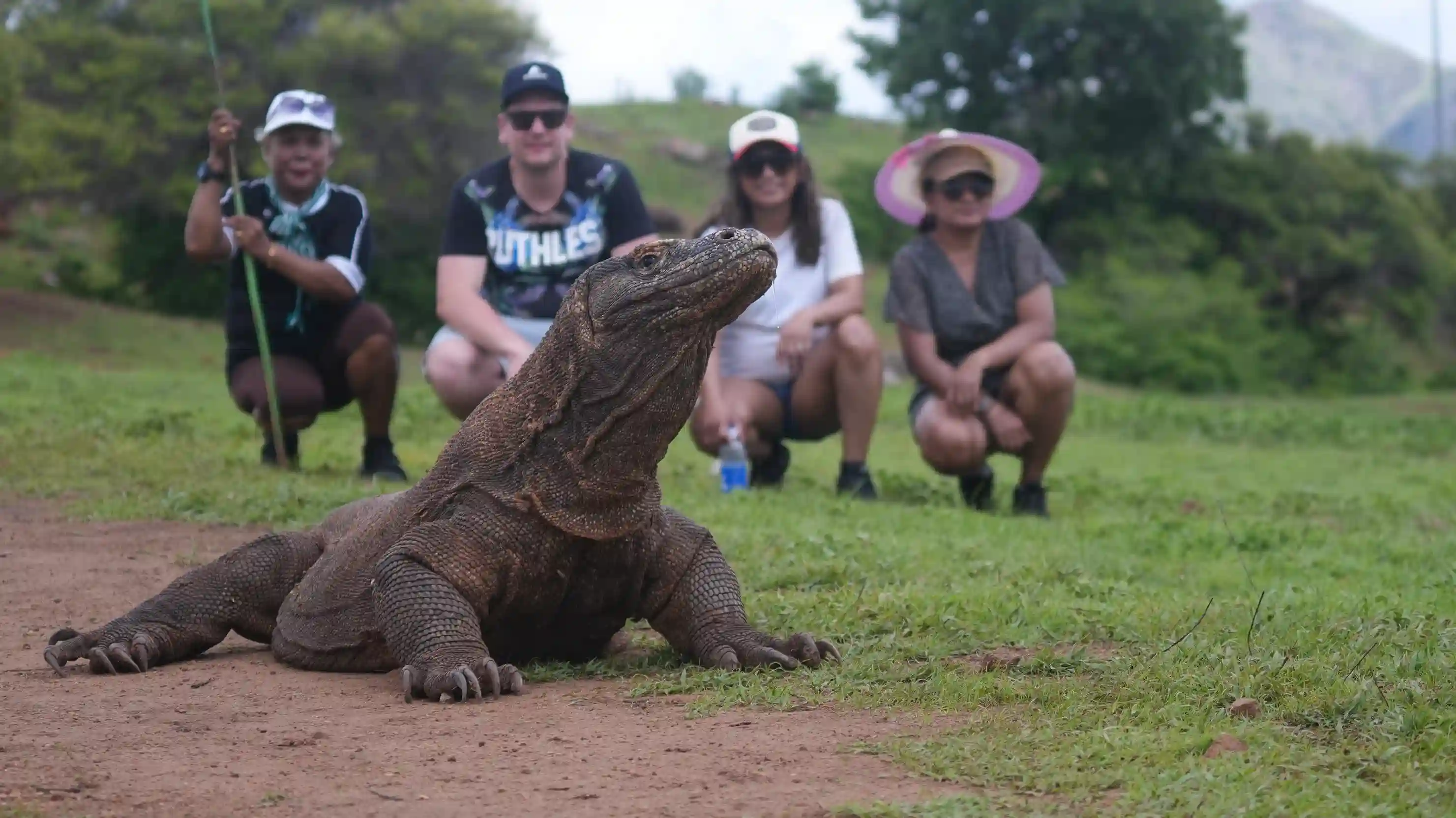 komodo  Pulau Komodo | Komodo Luxury