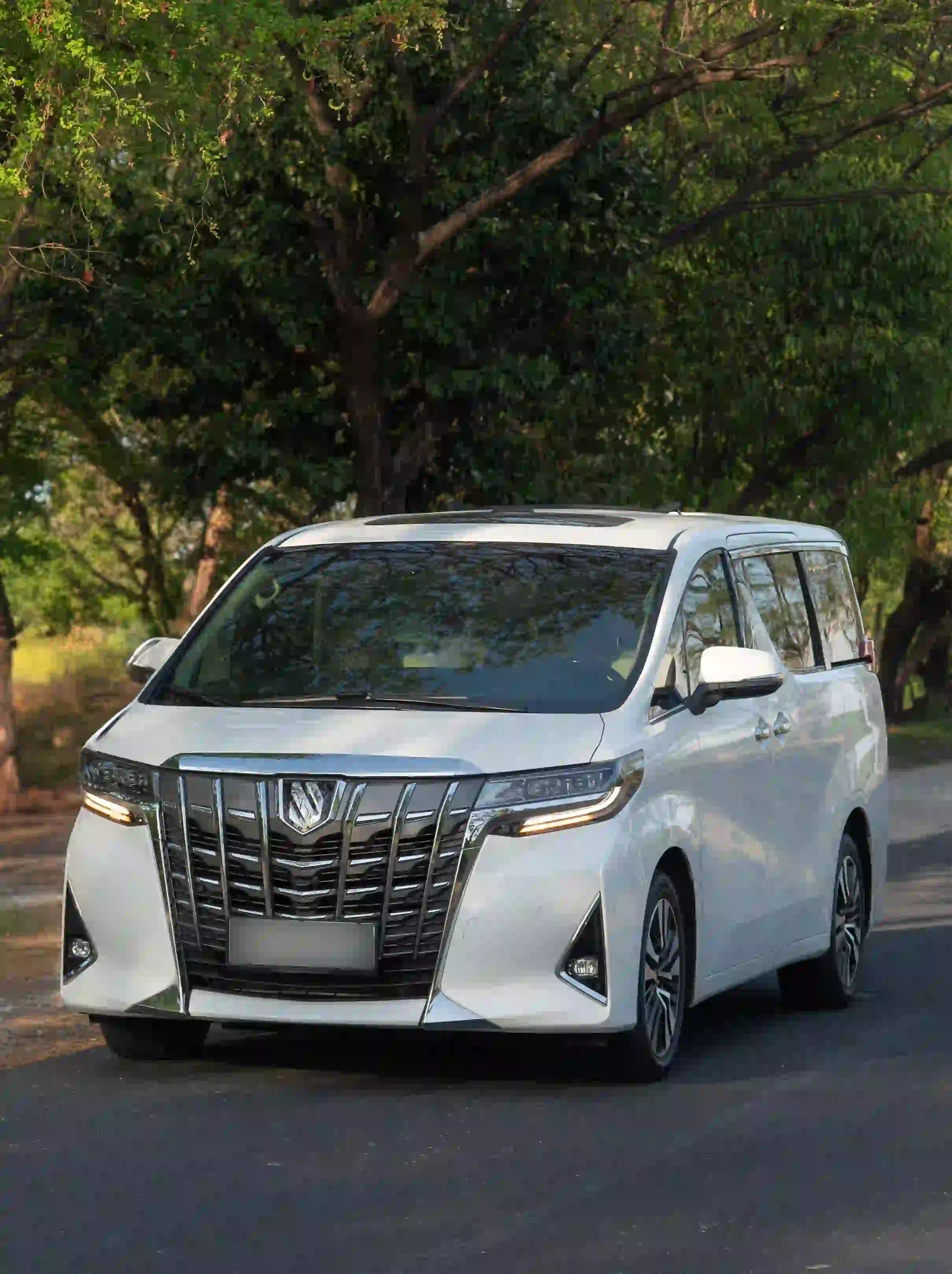 Alphard Rent Car Komodo | Luxus-Transport | Komodo Luxury