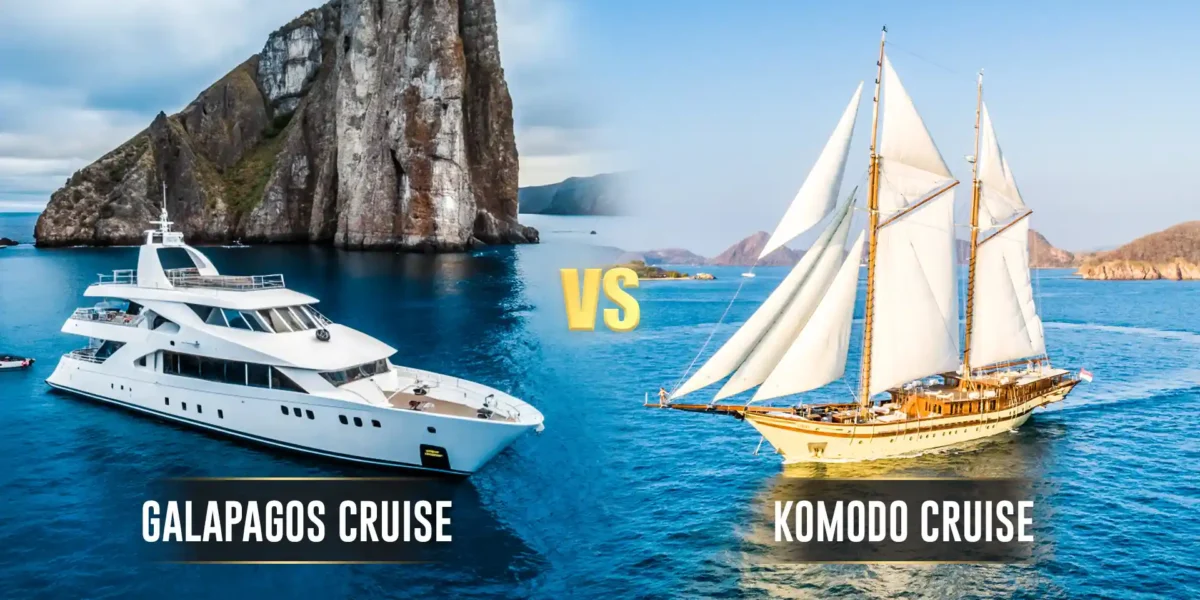 Kreuzfahrt  Kreuzfahrt  Komodo-Inselrundfahrt | Komodo Luxury