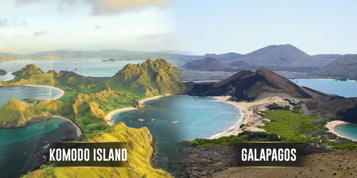 Komodo-Insel vs. Galapagos | Komodo-Insel-Tour | Komodo Luxury