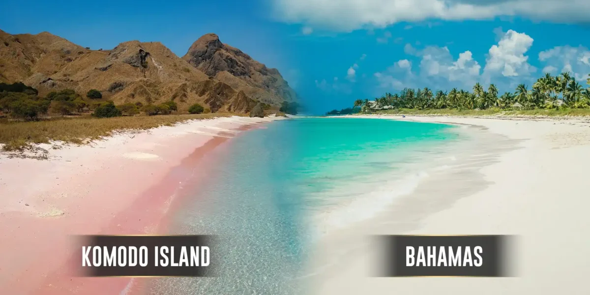 Komodo-Inseln vs. Bahamas | Komodo Luxury