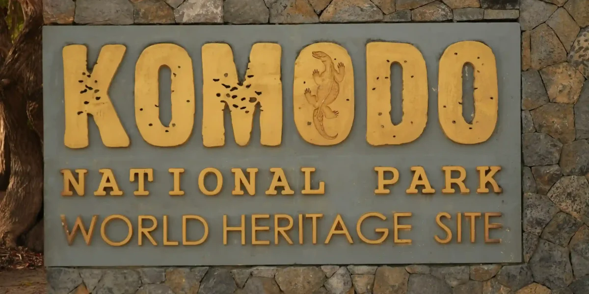 Insel Komodo | Komodo Nationalpark  Tour zur Insel Komodo | Komodo Luxury