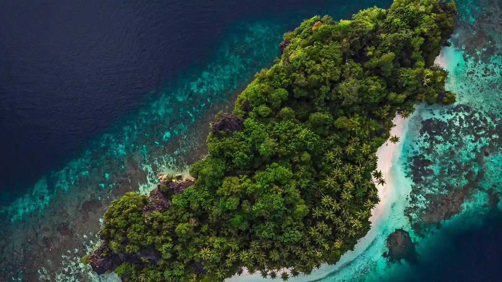 Острови Раджа-Ампат | Дайвінг-круїз по Раджа-Ампату | Komodo Luxury