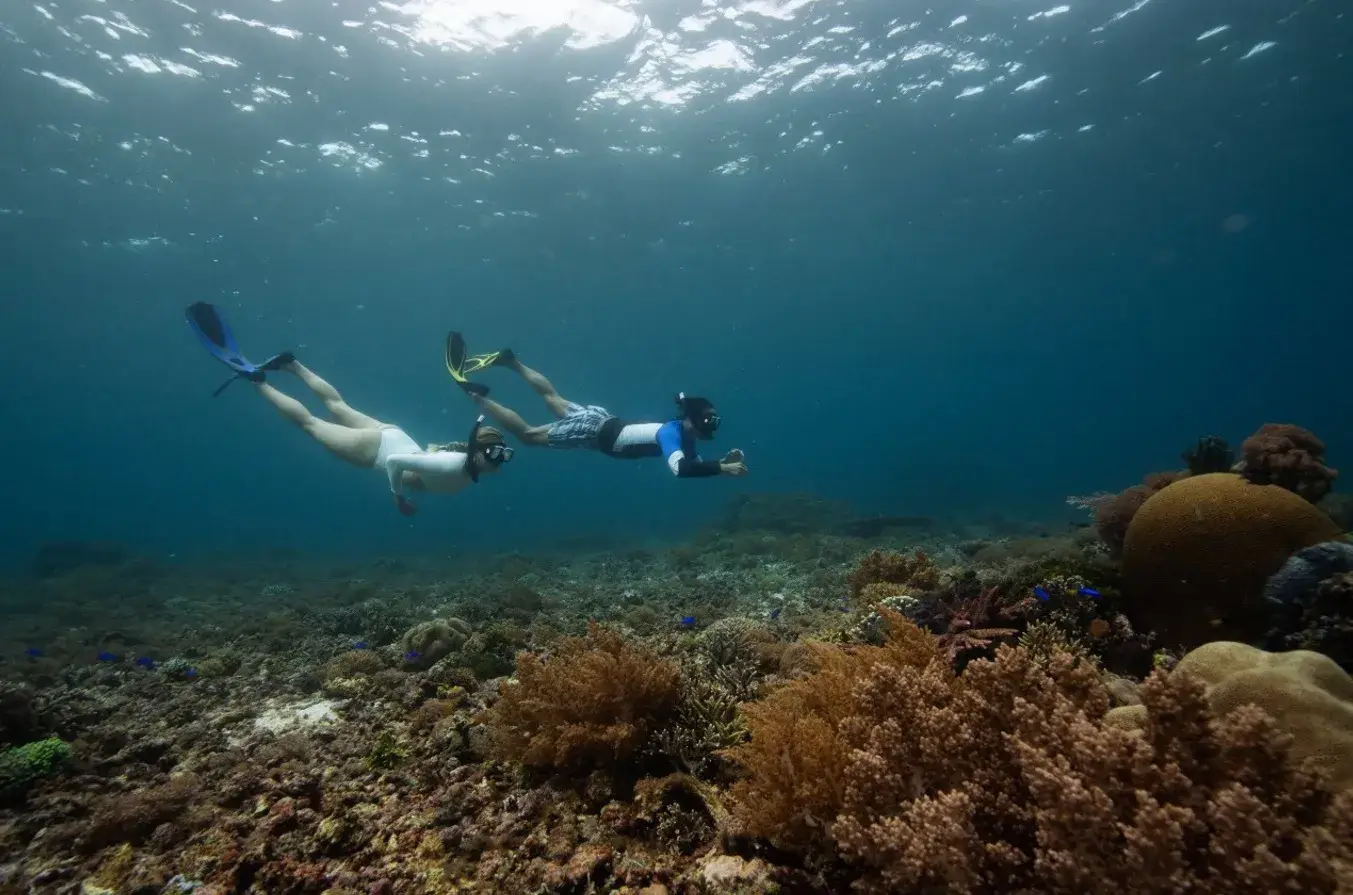 Remote Snorkel Sites
