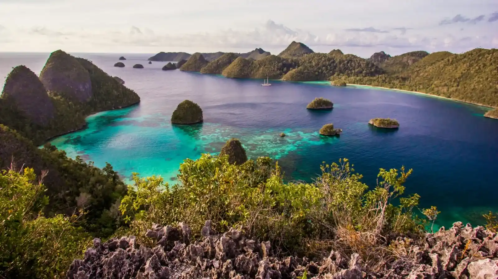 Raja Ampat | Raja Ampat Tauchsafari Komodo Luxury