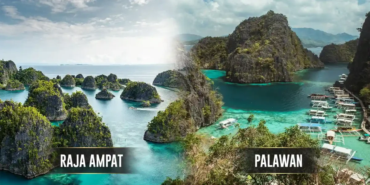 Raja Ampat vs. Palawan | Komodo Luxury