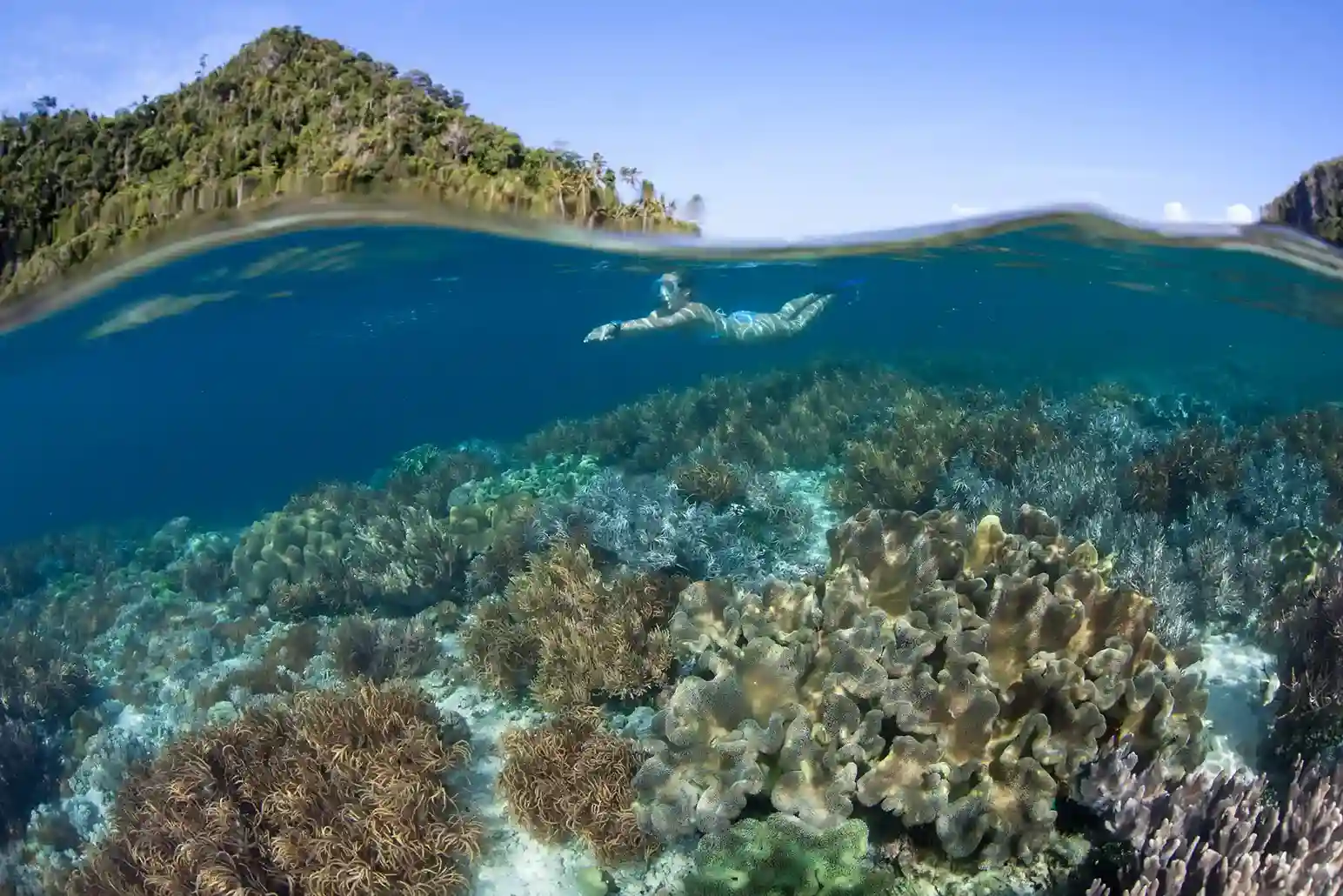 Sebayur Island