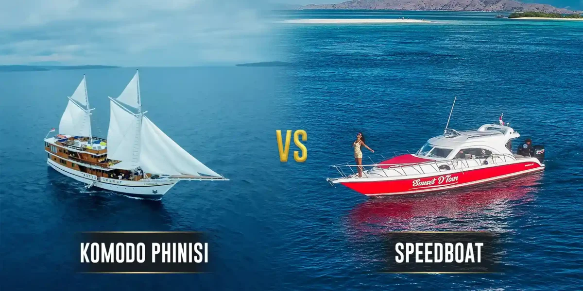 Komodo Phinisi vs Schnellboot Komodo Luxury