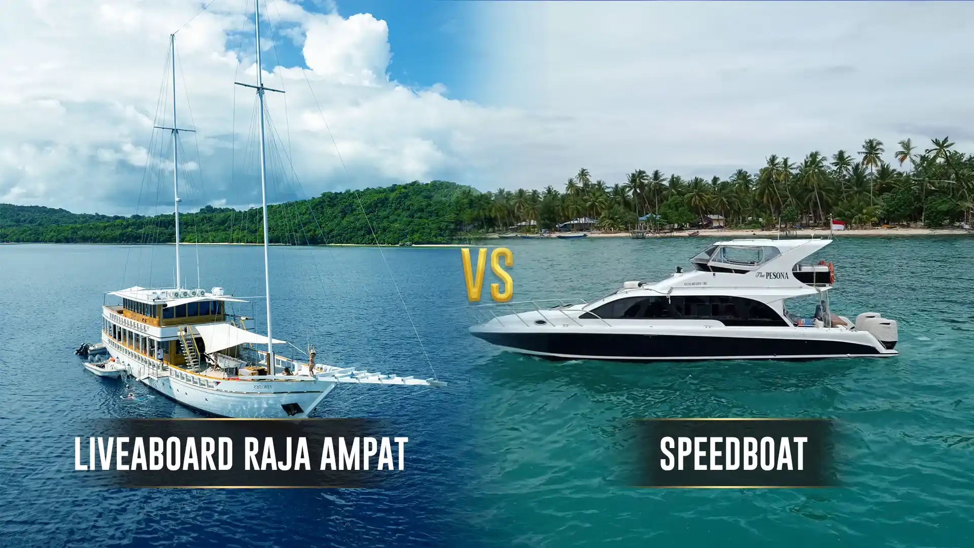 Tauchsafari  Schnellboot Ampat | Komodo Luxury