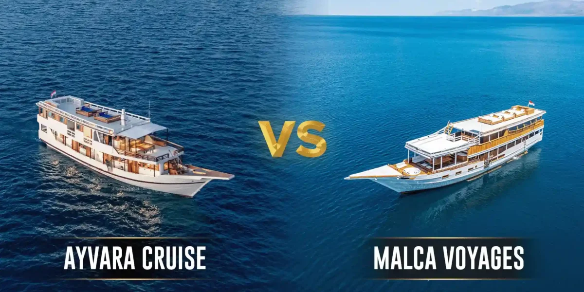 Ayvara Kreuzfahrt Malca Voyages | Komodo-Insel-Tour | Komodo Luxury