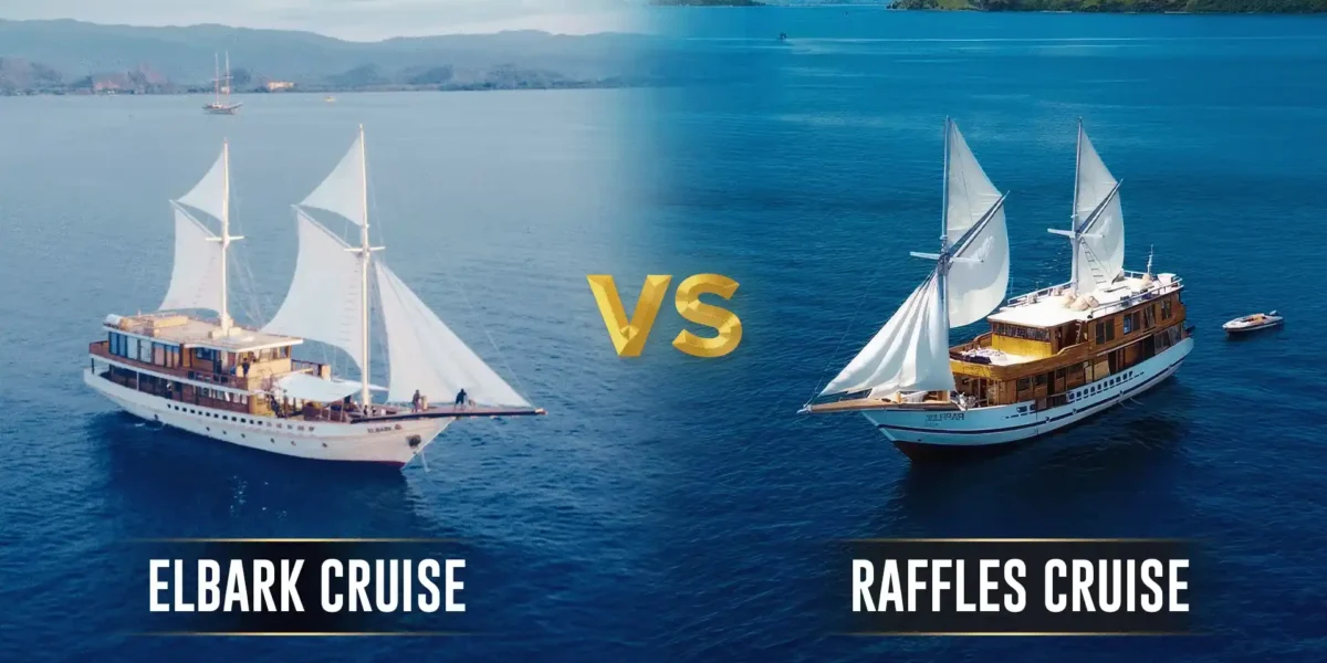 Kreuzfahrt  Kreuzfahrt  Komodo-Insel-Tour | Komodo Luxury
