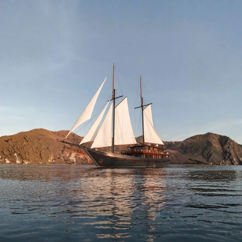 Vela